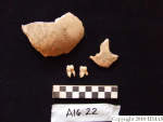 L_V20d5046 A16.22 R827 lR ta human bones.JPG L_V20d5046 A16.22 R827 lR ta human bones